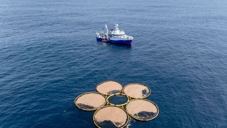 Company's carbon credits raise questions about unproven ocean technology to fight global warming