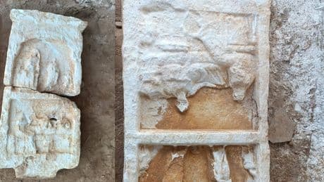 Ceviz bahçesinde bulundu! Roma dönemine ait oldukları tespit edildi