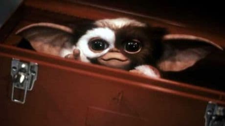 "Les Gremlins 3" n’attend que la validation de Steven Spielberg pour voir le jour
