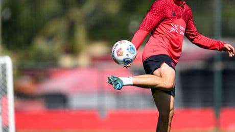 Bayers Zugang von Hertha BSC: Maza nimmt sich Wirtz zum Vorbild