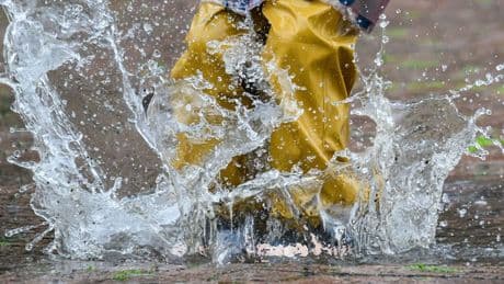 Schauriges Wetter: Regen bleibt zunächst noch im Land