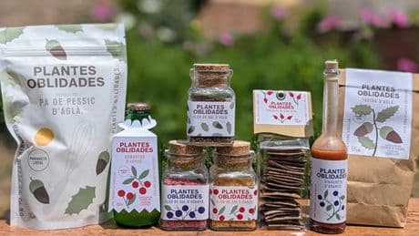 Plantas Olvidadas, un proyecto para impulsar el uso de recursos alimentarios forestales