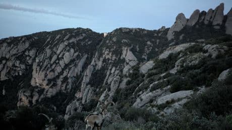 El ‘cabreo’ de la montaña de Montserrat