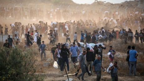 British surgeon in Gaza: ‘Palestinians are being shot at aid sites as if it’s a game’
