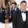 Ant McPartlin's absence at the King's Trust Awards reception REVEALED as Dec Donnelly appears without his right hand man to greet His Majesty