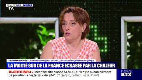 Canicule: "la production laitière pourrait baisser de 30%", explique Yamina Saheb, co-auteure du rapport du GIEC