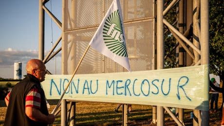 Accord UE-Mercosur : la vigne française sourit, les agriculteurs des champs s’inquiètent
