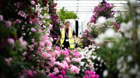 Chelsea Flower Show returns with a focus on climate, nature – and a love of dogs
