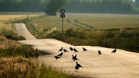 Wettervorhersage: Hitze nimmt in neuer Woche weiter zu - bis zu 38 Grad