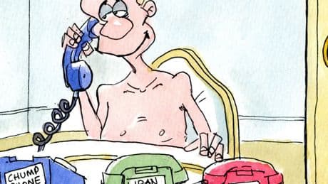 The Herald cartoon on Putin and Iran