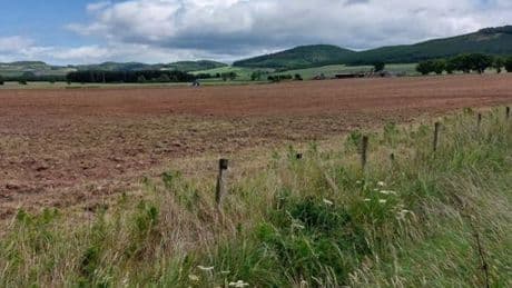 Councillors refuse Coupar Angus solar farm on prime agricultural land