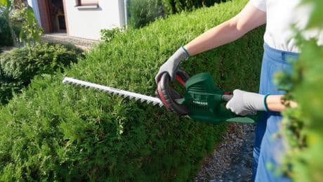 Gartenpflege zum Sparpreis: Parkside Heckenschere jetzt bei Lidl erhältlich