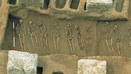 DNA study reveals origin of world’s first pandemic