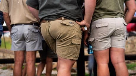 Trump alleges 'genocide' in South Africa. At an agricultural fair, even Afrikaner farmers scoff