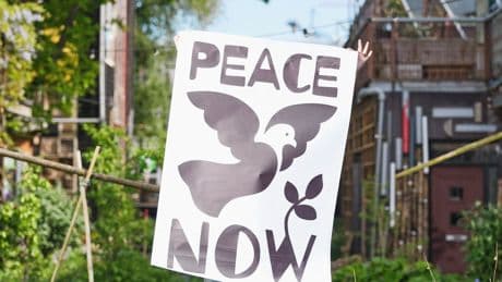 Het geluid van pacifisten is in tijden van onzekerheid niet populair, zeggen ze zelf