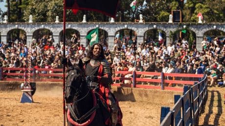 Who art thou owners? The Texas Renaissance Festival has to pay $22 million in damages in dispute over purchase