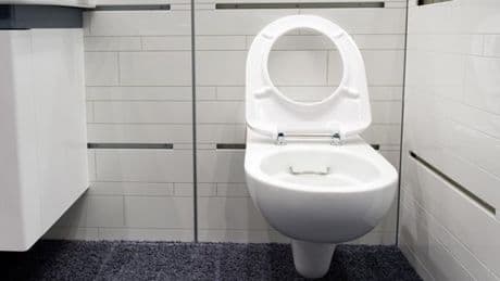 Speisereste entsorgen: Warum sie nicht in die Toilette gehören