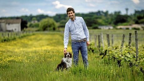 « L’hiver, on fait pâturer les brebis dans les vignes »