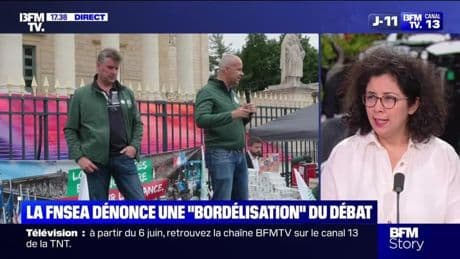 Story 3 : la FNSEA dénonce une "Bordélisation" du débat - 26/05