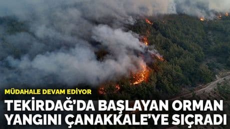 Tekirdağ’da başlayan orman yangını Çanakkale’ye sıçradı: Müdahale devam ediyor