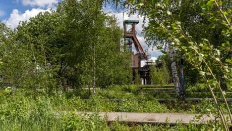 Urban Hiking und Lama-Touren – Wo NRW zum Wanderparadies wird