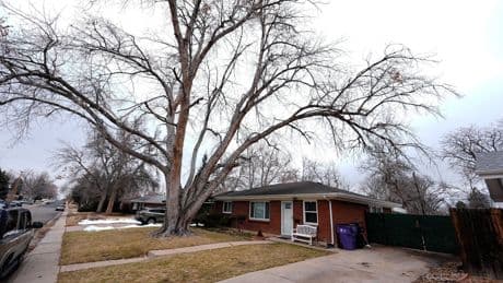 Funeral home owner hid woman’s corpse in hearse for more than a year