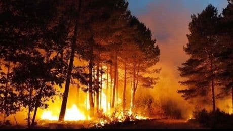 Siete días del incendio en San Pedro de Cansoles, el pueblo "olvidado" y arrasado por el fuego en la montaña palentina