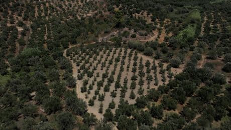 Changement climatique: les conditions météo extrêmes font flamber les prix alimentaires dans le monde