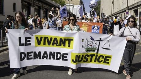 Biodiversité : l’Etat jugé responsable du préjudice écologique dû aux pesticides