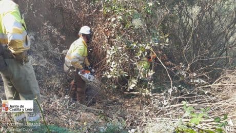 La esperanza llega al Valle del Tiétar tras el terror: noche de avances y control del incendio