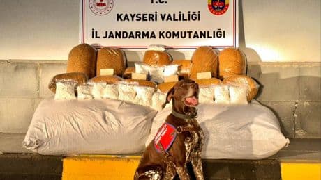 Kayseri'de 450 kiloluk kaçak tütün ele geçirildi