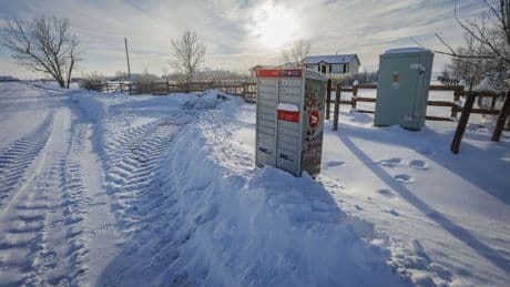 Empty mailbox: What will be lost if Canada Post goes out of business?