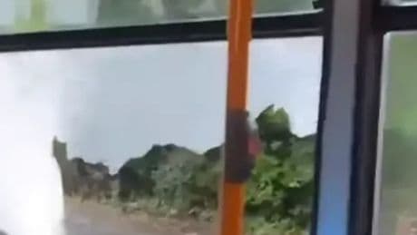 Stagecoach bus and bin lorry crash in Scots village 'injuring child' on board
