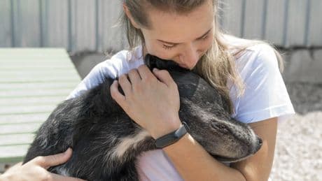 Piel seca en perros: qué la causa, cómo detectarla y cuándo preocuparse