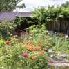Laisser pousser la pelouse, aménager des refuges, arrêter de nourrir les oiseaux... Six conseils pour que votre jardin préserve la biodiversité