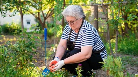 UK Gardeners Urged To Start These Key August Tasks Now