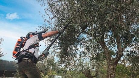 Sciami di droni-libellule impollinatori: a “Olioliva Frantoio delle Idee” la natura incontra l’high tech