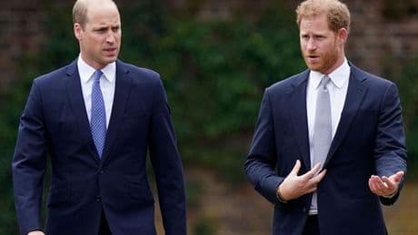 Prince Harry's first words to therapist after 'William fight where shirt was ripped'