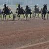 INFO OUEST-FRANCE. En Normandie, un jeune entraîneur de trot mis en examen pour violences sexuelles