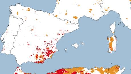 España ha recibido más lluvia que nunca esta primavera. Y aún así es incapaz de sacarse de encima el fantasma de la sequía