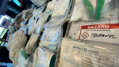 Thousands worth of fentanyl, other drugs and guns seized in Ontario