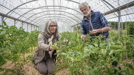 Laudato si’, dix ans après : quel écho chez les agriculteurs catholiques ?