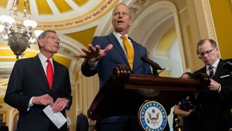 Senate GOP leaders succeed in protecting Trump tariffs