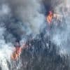 Au Canada, près de six millions d'hectares ont déjà été brûlés par les feux de forêt cette saison