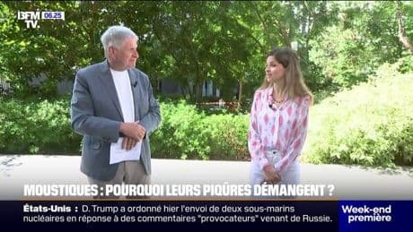 Santé: pourquoi les piqûres de moustiques nous démangent autant ?