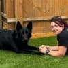 Retiring police dogs 'deserve to get pension'