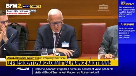 ArcelorMittal: les suppressions de postes en France sont "liées à la nécessité de rester compétitif", selon le président du groupe en France