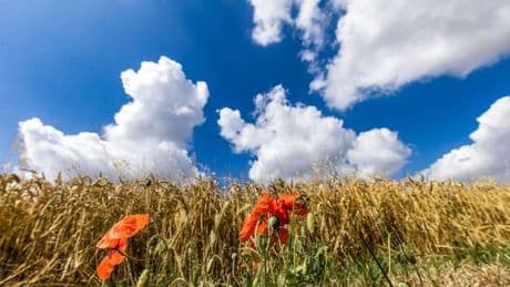 Spätsommer: Der September startet mit spätsommerlichem Wetter