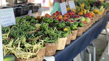 Hope House Guelph adds programs to improve seniors’ health and well-being