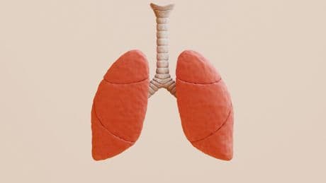 Des chercheurs découvrent un lien entre alimentation et cancer du poumon, voici ce que ça pourrait changer